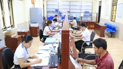 Hanoi fusiona tres comités directivos sobre reforma administrativa, transformación digital y Proyecto 06: Un trabajo