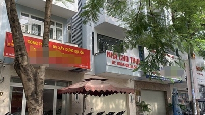Gloomy real estate market: Early and long Tet holiday for many brokers