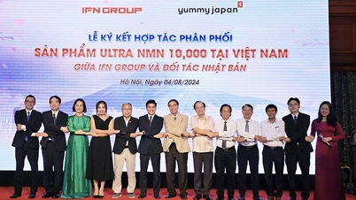 IFN Group thúc đẩy hợp tác trong lĩnh vực Du lịch y tế và Thẩm mỹ công nghệ cao