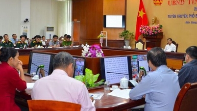 Dissemination of laws and ordinances in 2023