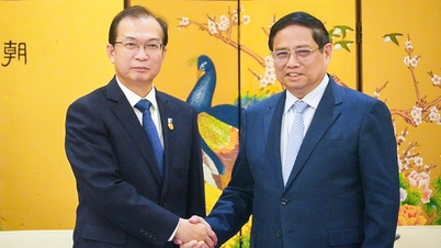 ក្រុមហ៊ុន Huadian Group, Energy China ចង់វិនិយោគលើវារីអគ្គិសនីស្តុកទុកក្នុងប្រទេសវៀតណាម