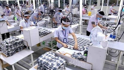 社会保険料の支払基準となる給与を収入の70％とする提案