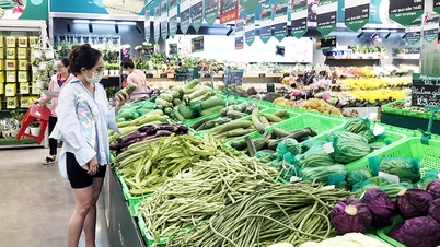 អ្នករស់នៅទីក្រុងដែលមាននិន្នាការប្រើប្រាស់ពណ៌បៃតង