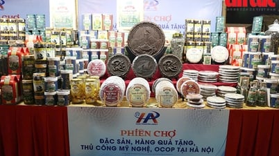 Người tiêu dùng tin tưởng lựa chọn sản phẩm OCOP cho dịp Tết