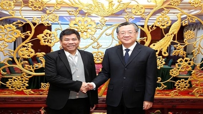 Đoàn đại biểu cấp cao của Ủy ban Dân tộc công tác tại Trung Quốc
