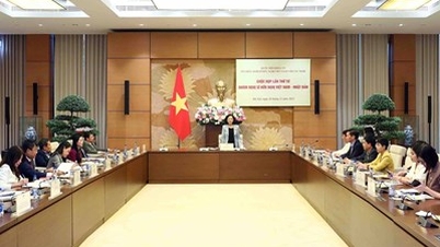 Vietnam - Japan relations are at their best in history.