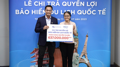 ភ្ញៀវ​ទេសចរ​វៀតណាម​ទទួល​បាន​ជាង​៦០០​លាន​ដុង​ពី​ការ​ធានា​រ៉ាប់​រង​ការ​ធ្វើ​ដំណើរ