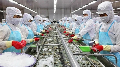 Hoa Kỳ vượt Trung Quốc về nhập khẩu nông, lâm, thủy sản của Việt Nam