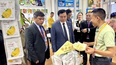 베트남 기업 대표단, 제7회 중국 국제수입박람회 참가