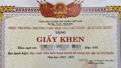 Worried about parents showing off their children's grades and certificates online