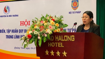 Hội nghị tập huấn về Giám định tư pháp trong lĩnh vực tài nguyên và môi trường