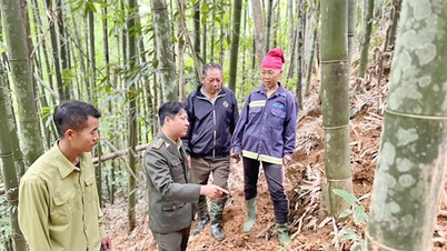 ជន​ជាតិ​ឡាវ​តោង​ជាប់​ព្រៃ