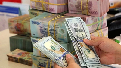Giá ngoại tệ ngày 19/12/2024: USD chạm mức cao nhất trong hai năm