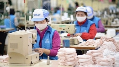 Tham gia đa dạng các FTA, hàng Việt tiến sâu hơn vào chuỗi giá trị toàn cầu; nguy cơ cao sập bẫy lừa đảo thương mại quốc tế