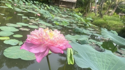 9 loại thực phẩm giúp ngủ ngon