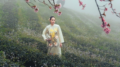 Des centaines de fleurs fleurissent