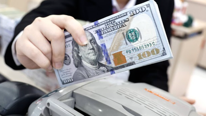សន្ទស្សន៍ USD ខ្ពស់បំផុតក្នុងរយៈពេល 2 ឆ្នាំ តើអត្រាប្តូរប្រាក់នៅវៀតណាមប្រែប្រួលយ៉ាងដូចម្តេច?