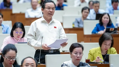 Không nên tăng thu ngân sách bằng việc điều chỉnh thuế VAT