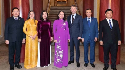 អនុប្រធានាធិបតី Vo Thi Anh Xuan ជួបជាមួយព្រះអង្គម្ចាស់ ហ្វ្រេឌឺរីក នៃប្រទេសដាណឺម៉ាក