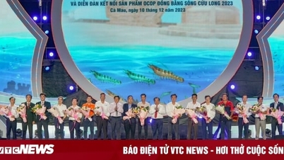 Ngân hàng đồng hành phát triển hệ sinh thái thủy hải sản xanh