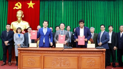 មហាសេដ្ឋីអន្តរជាតិ 2 រូប សន្យាថានឹងប្រែក្លាយ Binh Dinh ទៅជាមជ្ឈមណ្ឌលទេសចរណ៍ប្រណីត