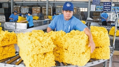 Việt Nam hướng đến vị thế trung tâm công nghiệp tiếp theo của châu Á