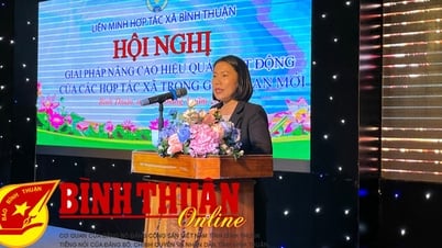 Giải pháp nâng cao hiệu quả hoạt động của các Hợp tác xã