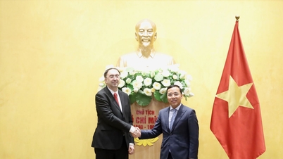 Deputy Minister Nguyen Hoang Long received the Ambassador Extraordinary and Plenipotentiary of the Republic of Armenia to Vietnam…