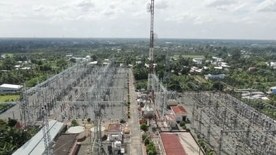 EVNNPT thông tin về sự cố tại trạm biến áp ở Tiền Giang