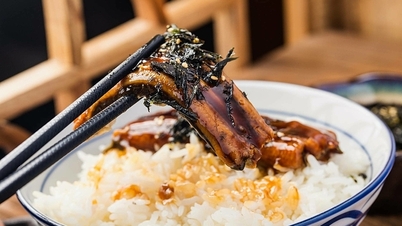 Is it good to eat eel regularly?