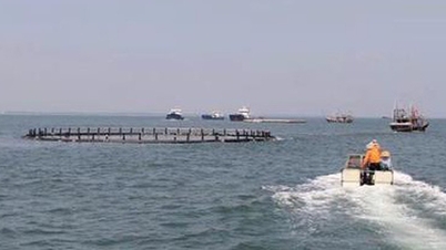 Morning news 13-10: Handing over aquaculture cages drifting to Vietnam after storm No. 3 to China