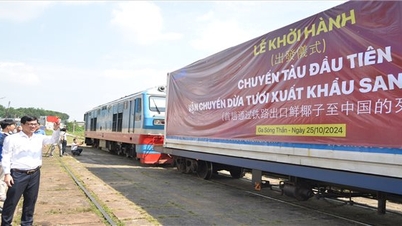 FAdo IExport xuất khẩu lô hàng dừa tươi đầu tiên sang Trung Quốc bằng đường sắt