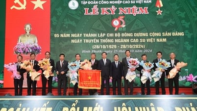 95 ឆ្នាំនៃឧស្សាហកម្មកៅស៊ូវៀតណាមអមដំណើរប្រទេស