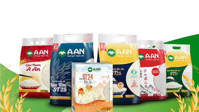 Gạo AAN vinh dự nhận giải thưởng Thương hiệu quốc gia năm 2024