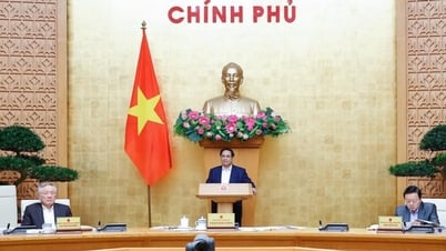 រដ្ឋាភិបាល​ផ្តល់​យោបល់​លើ​សំណើ​ចំនួន ០៦ ដើម្បី​កសាង​ច្បាប់ និង ០១ សេចក្តីព្រាងច្បាប់។