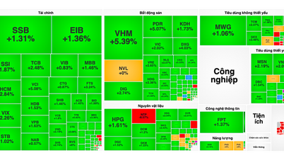 VN-Index bừng tỉnh tăng gần 20 điểm