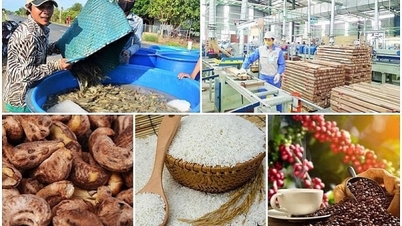 Exporte aus Landwirtschaft, Forstwirtschaft und Fischerei erzielen einen Wert von 24,14 Milliarden USD