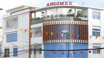 មេដឹកនាំ Angimex ពន្យល់ពីមូលហេតុដែលតម្លៃភាគហ៊ុនបានកើនឡើងដល់ពិដានរយៈពេល 5 វគ្គជាប់ៗគ្នា។