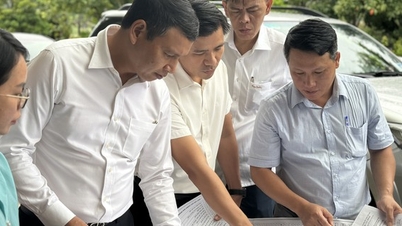 Lãnh đạo Đà Nẵng kiểm tra dự án đất ven biển sau kiến nghị tiền thuê đất quá cao