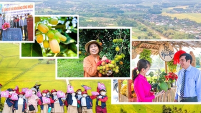 Xây dựng nông thôn mới gắn với phát triển du lịch nông thôn, Quảng Ngãi kỳ vọng điều này