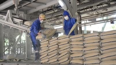 The Philippine Department of Trade and Industry initiates safeguard investigation on cement products.