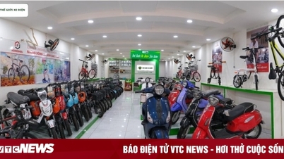 ហាងជួសជុលរថយន្តអគ្គិសនីល្បីឈ្មោះ