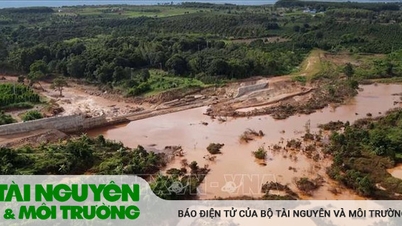 Nhiều diện tích hoa màu của người dân mất trắng do vỡ đập thủy điện