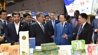 Bright spot in Vietnam trade promotion