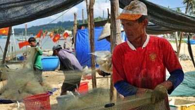 ចាប់​ត្រី​រស់​នៅ Phu Quoc អ្នក​នេសាទ​រក​ចំណូល​បាន​រាប់​លាន​ក្នុង​មួយ​ថ្ងៃ