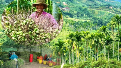 Đan Mạch hỗ trợ nông dân 4 xã ở Quảng Ngãi thúc đẩy phát triển cộng đồng bền vững