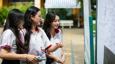 ពិន្ទុគោលខ្ពស់បំផុតនៃសាកលវិទ្យាល័យកសិកម្ម និងរុក្ខាប្រមាញ់ទីក្រុងហូជីមិញគឺ ២៥។