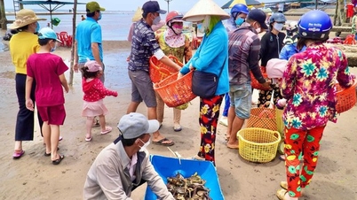 Chợ biển ở một huyện của Bến Tre họp ngay mép sóng, mua bán la liệt tôm, cua, cá, ốc ngon, lạ mắt