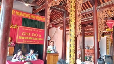 Xứ Đông có Cổ Am...