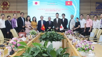 Trường Đại học Cửu Long làm việc với các công ty của Nhật Bản